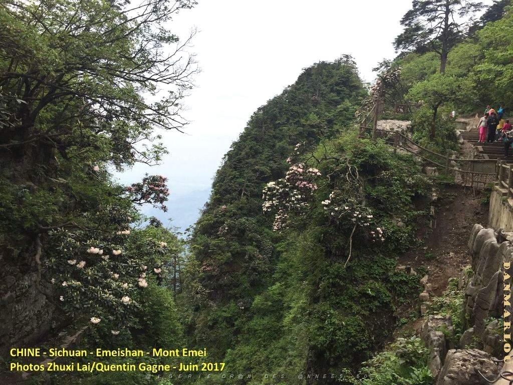Emeishan 147.JPG